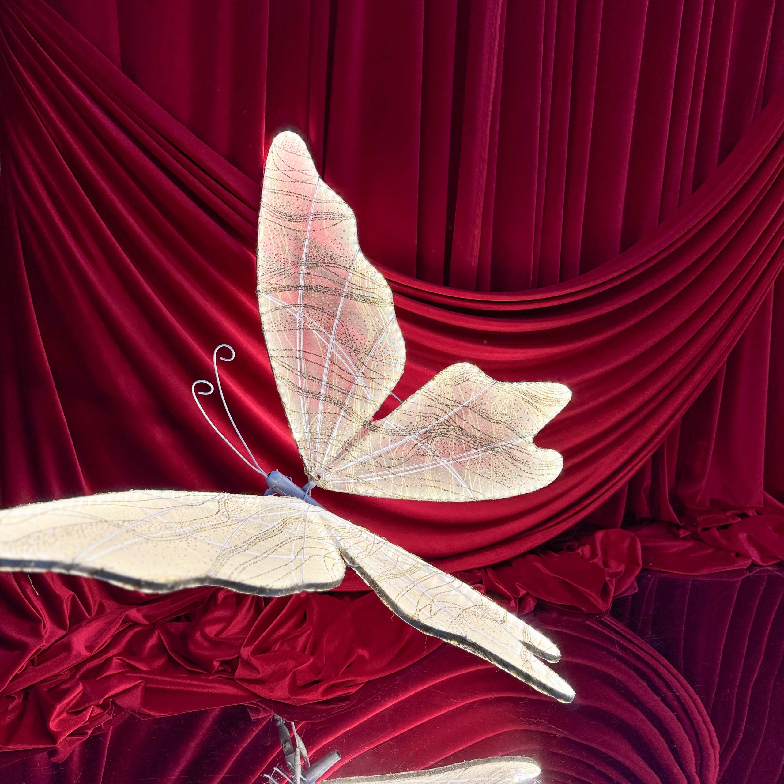 LED drugelio nuoma