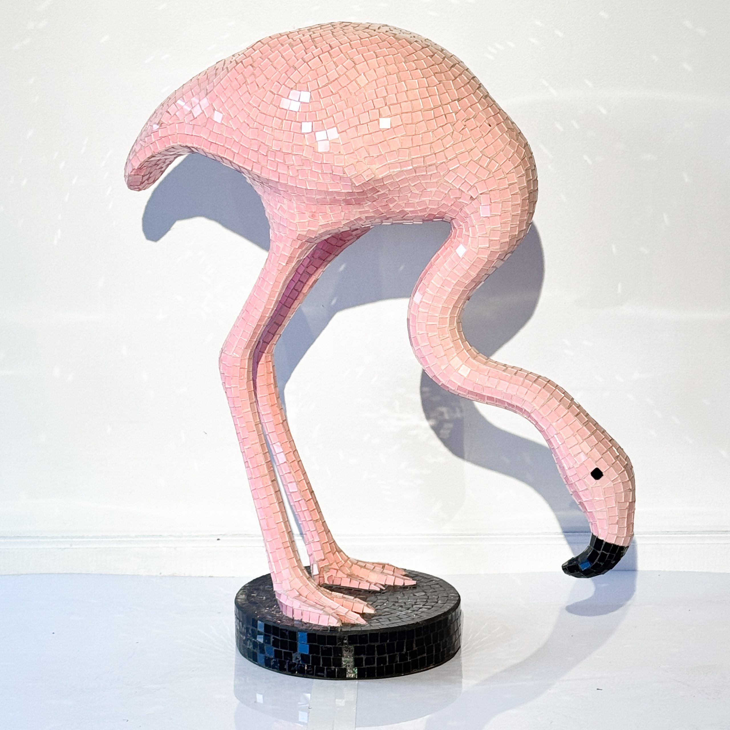 Rožinis veidrodinis flamingas nuoma
